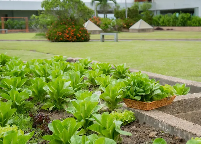 Lee Gardens Plaza Hotel - Sha Plus